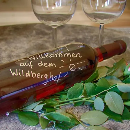 Wildberghof דירה *